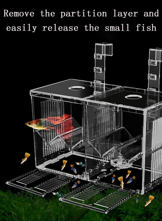 HIERYAN Aquarium Breeder Box, Acrylic Aquarium Breeder Box, Isolation Hatchery Feeding Boxes for Small Fish Fry Hatchery - Image 3